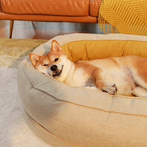 Oval Dog Bed All-Season Comfort for Pets