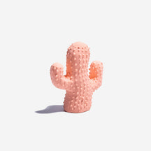 Cactus Fun Squeaky Toy for Playful Dogs