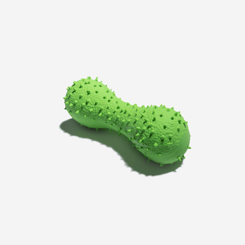 Cactus Fun Squeaky Toy for Playful Dogs