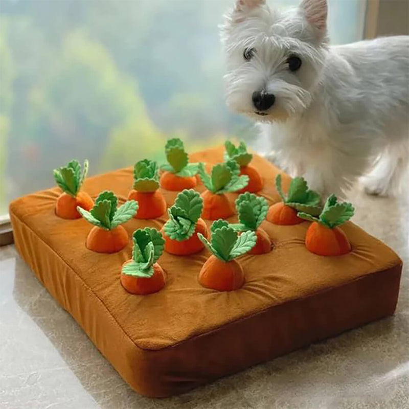 Carrot Farm Plush Squeaky Snuffle Dog Toy