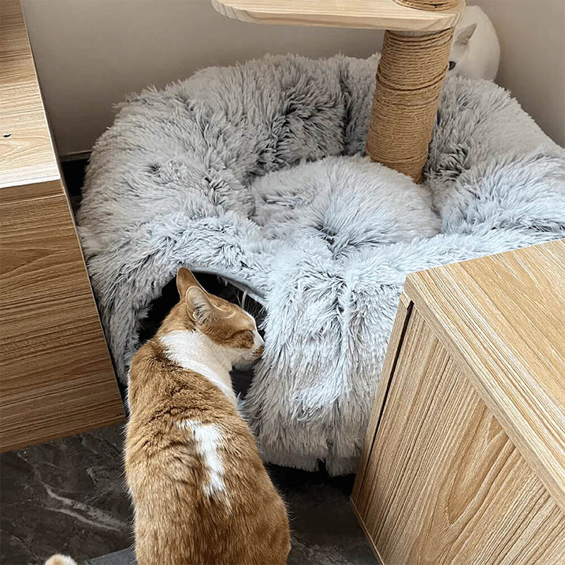 Indoor Cat Tunnel Bed Soft Round & Foldable Fun