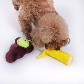 Fruit Plush Fun Squeaky Toy for Dogs