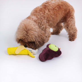 Fruit Plush Fun Squeaky Toy for Dogs