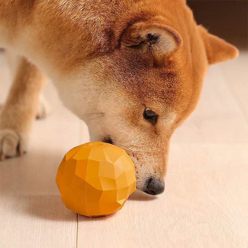 Fruit Treat Engaging Dog Toy for Playtime