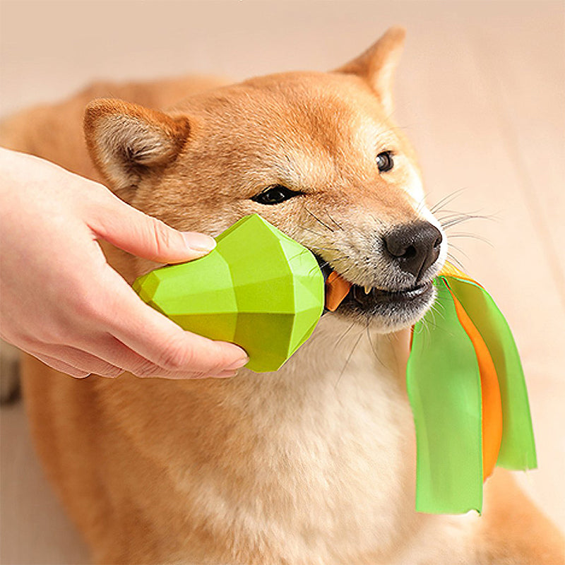 Fruit Squeaky Chewable Dog Toy for Fun Play