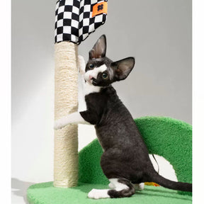 Golf Fun Cat Scratching Post for Playtime