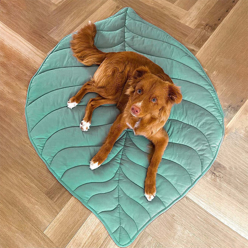 Leaf-Shaped Pet Blanket Comfortable For All Pets Home Decor