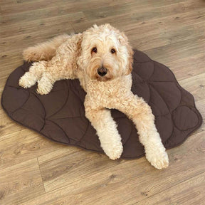 Leaf-Shaped Pet Blanket Comfortable For All Pets Home Decor