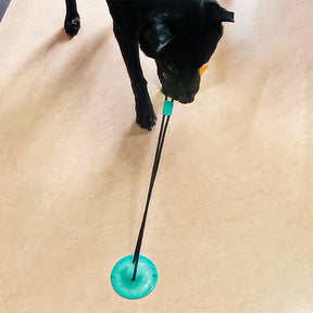 Mango Suction Cup Toy for Active Dogs