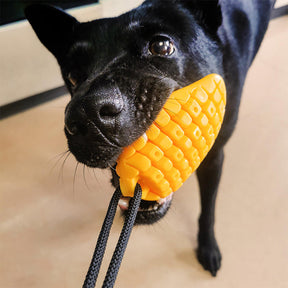 Mango Suction Cup Toy for Active Dogs