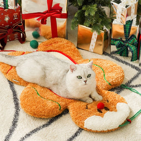 Multi-functional Funky Shape Cat Bed Cat Scratching Board