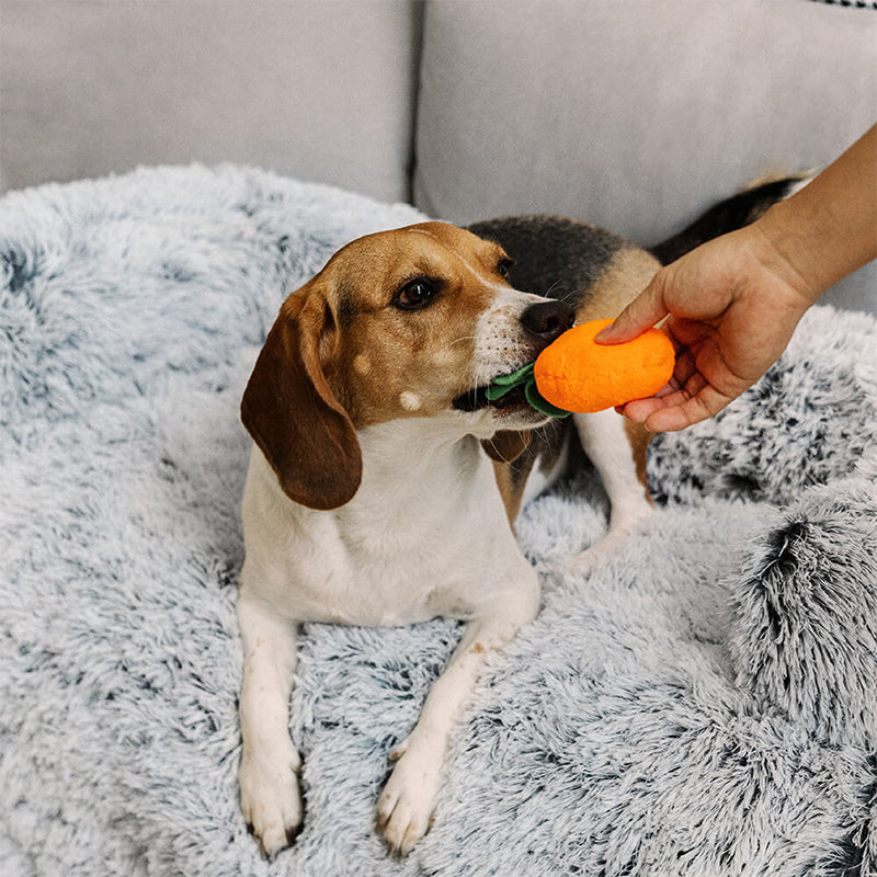 Luxury Plush Backrest Pet Sofa Bed