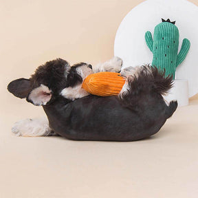 Cactus Plush Squeaky Dog Toy Collection