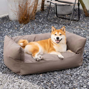 Versatile Chill-Zone Sofa Cushion Bed Dogs & Cats