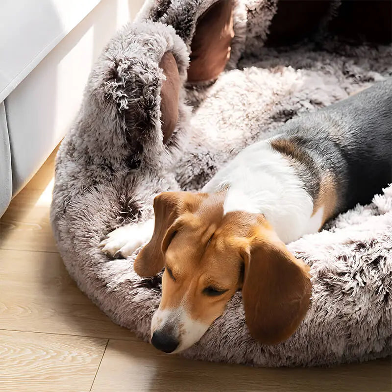 Large Fuzzy Paw Dog Bed Soft & Spacious